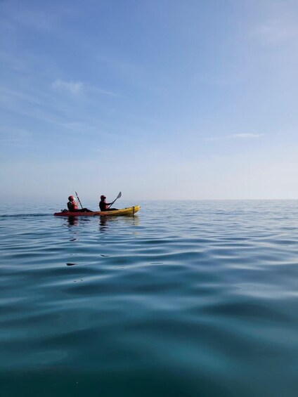 Two people kayaking on calm water under a clear sky. 1