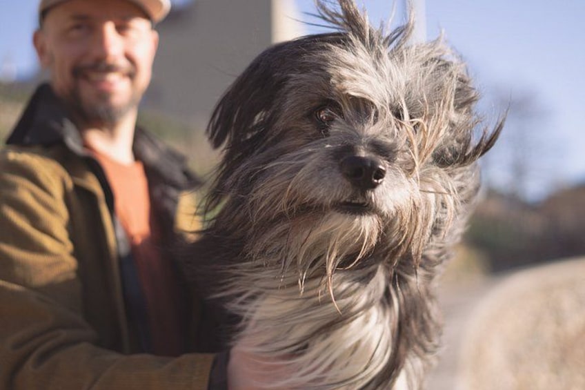 A dog with a shaggy coat being held by a person wearing a brown jacket. 2