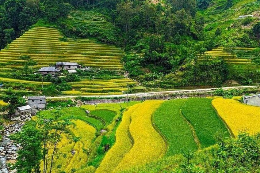 Terraced rice fields, a small village, and lush greenery. 4