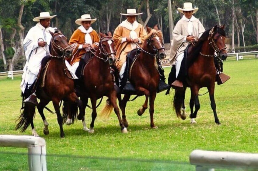Cuatro personas montando a caballo en un campo cubierto de hierba, con árboles al fondo. 4