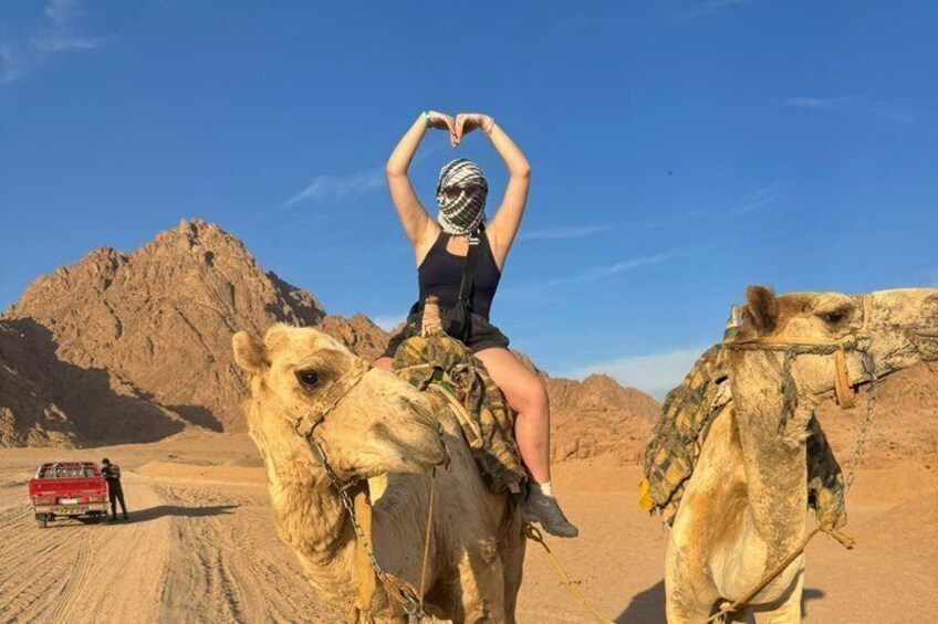 Una persona cavalca un cammello in un deserto, con montagne rocciose sullo sfondo. 1