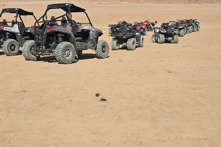Sinai Desert Safari: Sunset & Stargazing 3