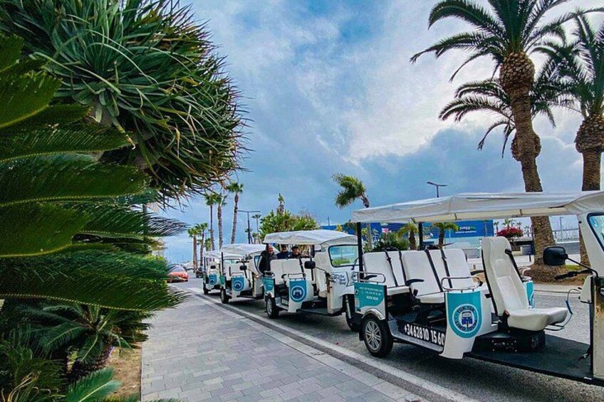 A row of beachside golf carts parked along a paved walkway with palm trees and a clear sky in the background. 1