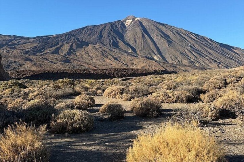 Private Tour Tenerife Teide National Park and Canarian Restaurant 1