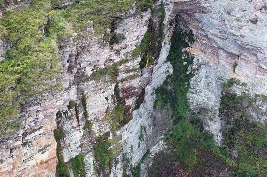 A cliff with green vegetation and layered rock formations. 2