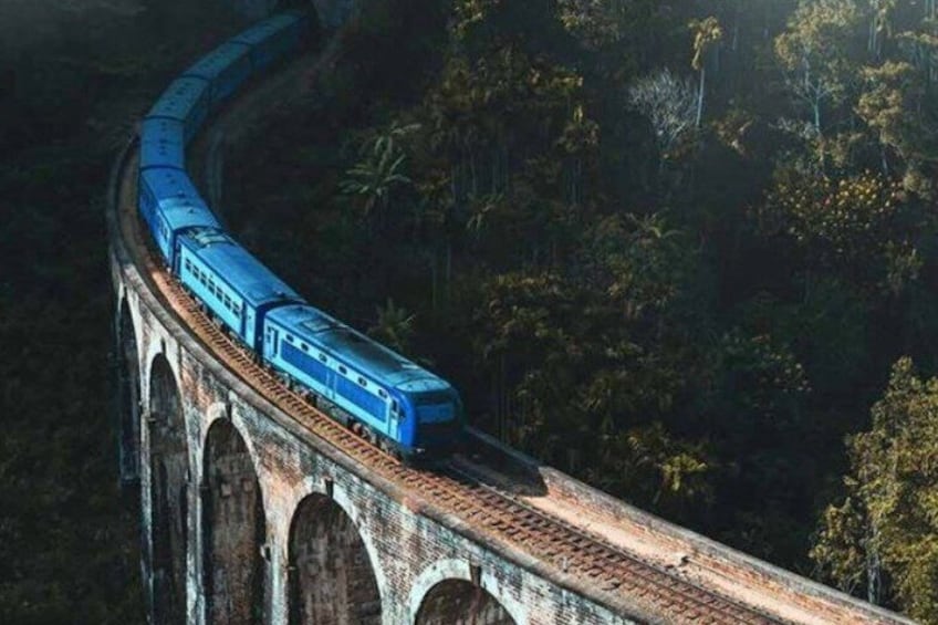 Un train bleu sur un pont qui traverse une forêt en suivant une courbe. 1