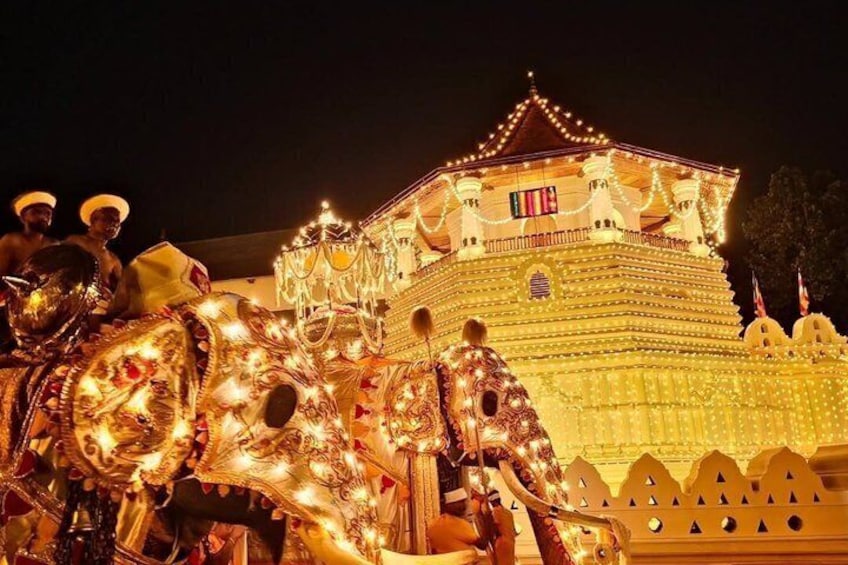 Un bâtiment aux couleurs vives, doté d’une architecture riche et d’un grand éléphant illuminé. 2