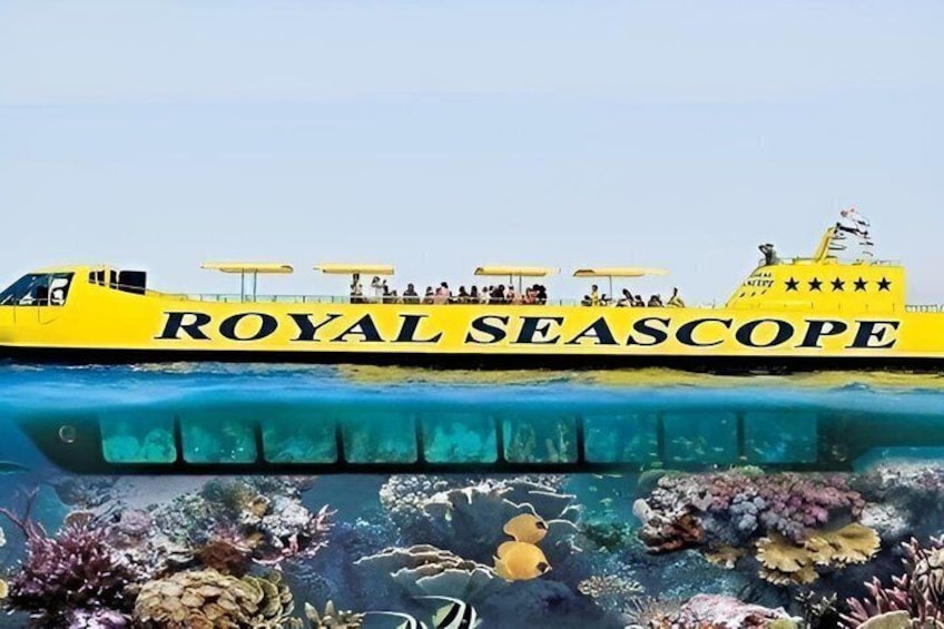 Un bote amarillo llamado 'ROYAL SEASCAPE' con pasajeros y una vista clara del arrecife coralino submarino. 3