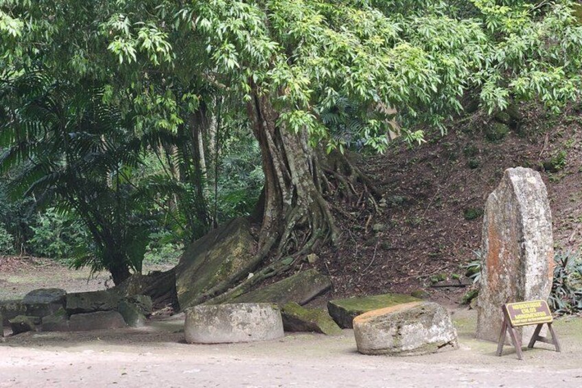 Paisaje natural con un árbol grande, una estructura de piedra y un cartel. 2