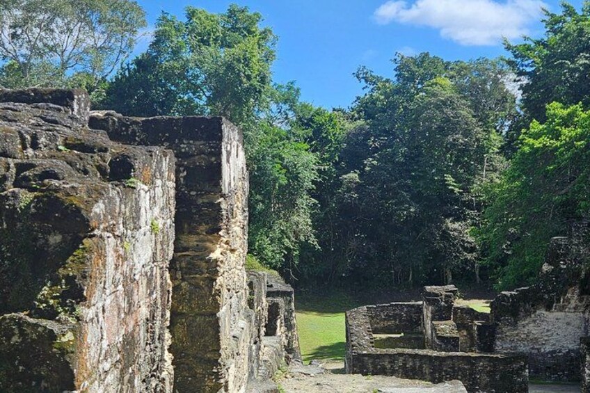 Ruinas antiguas con estructuras de piedra y un fondo boscoso. 5