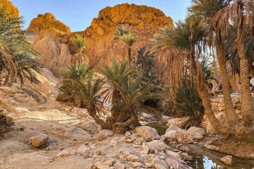 A rocky canyon with palm trees and a stream. 4