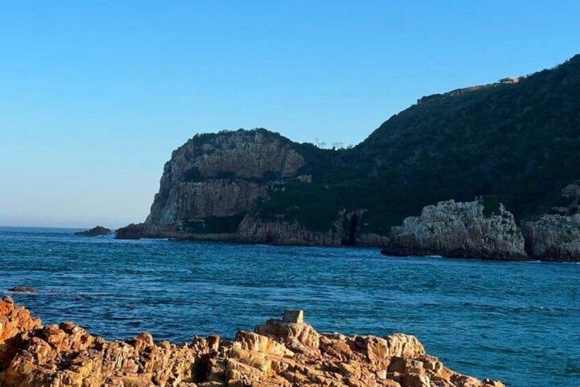 Explore the Garden Route Nature Wildlife and Coastal Adventures 3