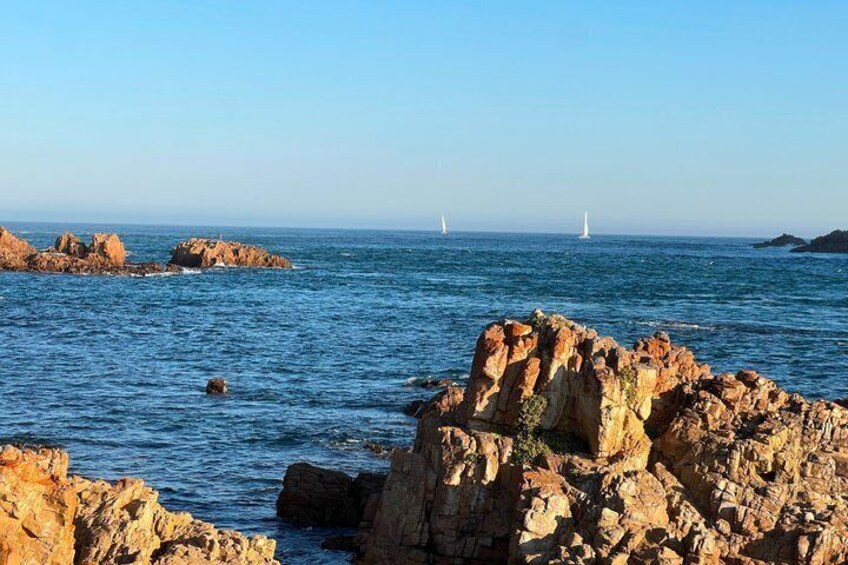 Explore the Garden Route Nature Wildlife and Coastal Adventures 2