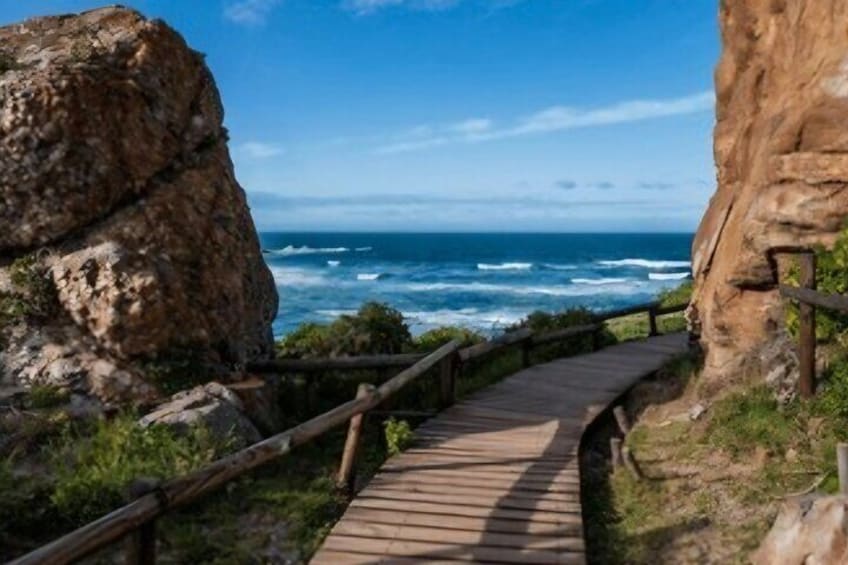Explore the Garden Route Nature Wildlife and Coastal Adventures 4