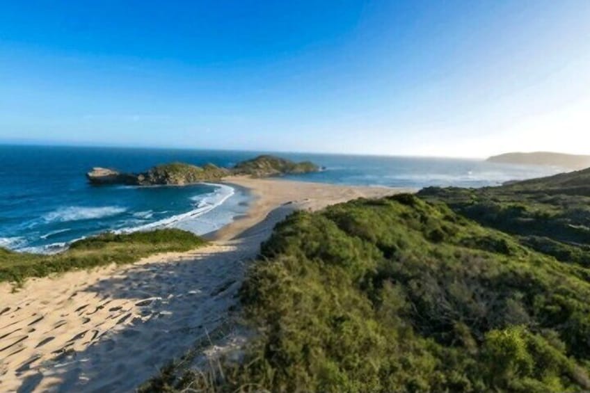 A coastal landscape with a sandy beach, grassy dunes, and rocky outcrops. 2