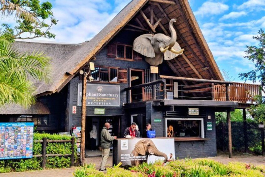 An elephant sanctuary reception building with a large elephant sculpture on the roof. 5