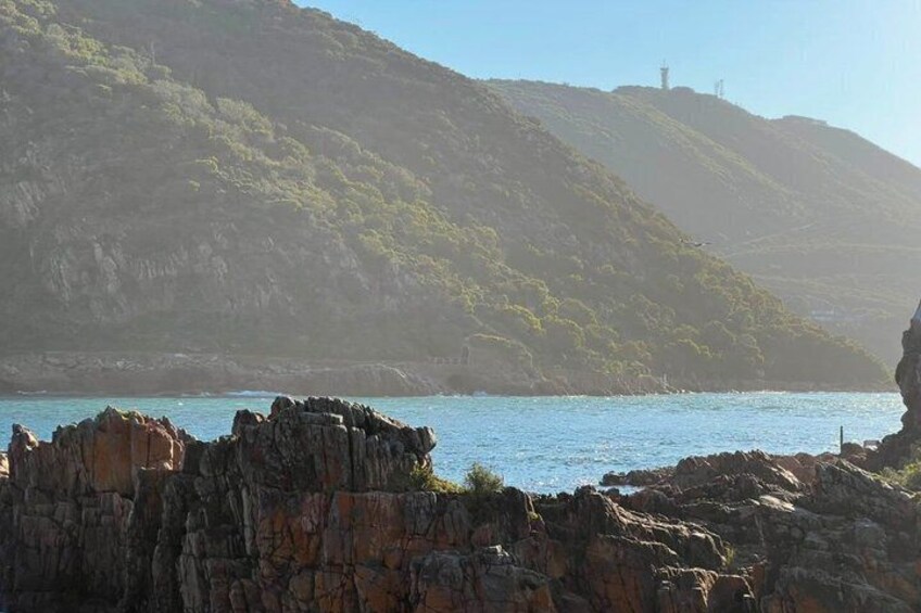Explore the Garden Route Nature Wildlife and Coastal Adventures 5