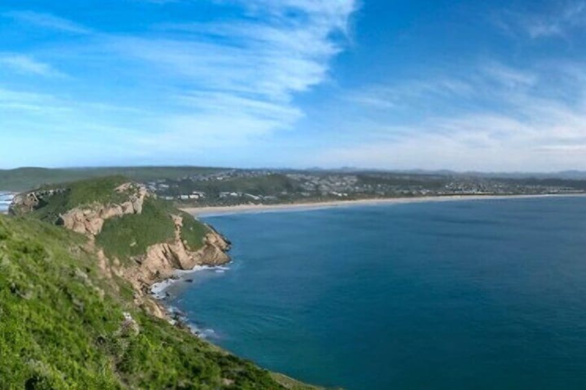 Explore the Garden Route Nature Wildlife and Coastal Adventures 5
