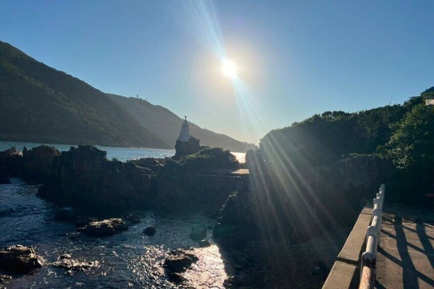 Explore the Garden Route Nature Wildlife and Coastal Adventures 4