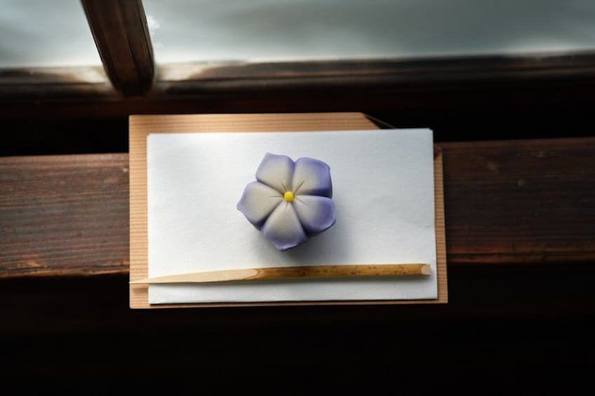 Une seule fleur violette sur une feuille de papier blanche, posée sur une surface en bois. 3