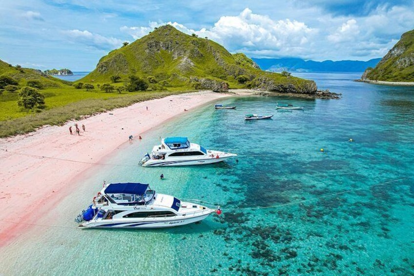 Komodo Island Speedboat Tour Padar Pink Beach with Snorkeling 4