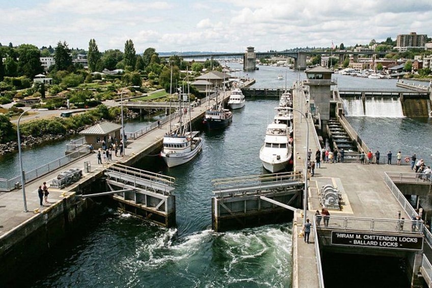 Discover Seattle: A Self-Guided Tour 5