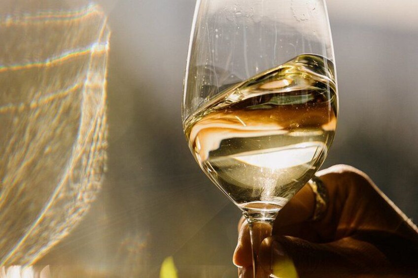 Beginner's Guide to Mona Art Gallery with Wine, Lunch and Ferry 3