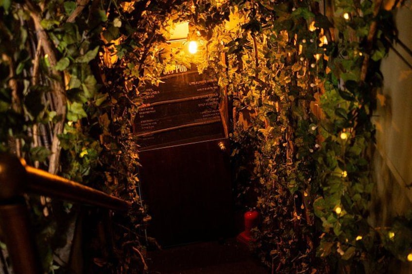 A dark staircase surrounded by dense foliage and illuminated by a single light source. 3