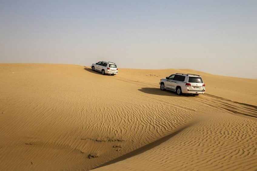 Combo City Tour and Desert Safari Adventure 3