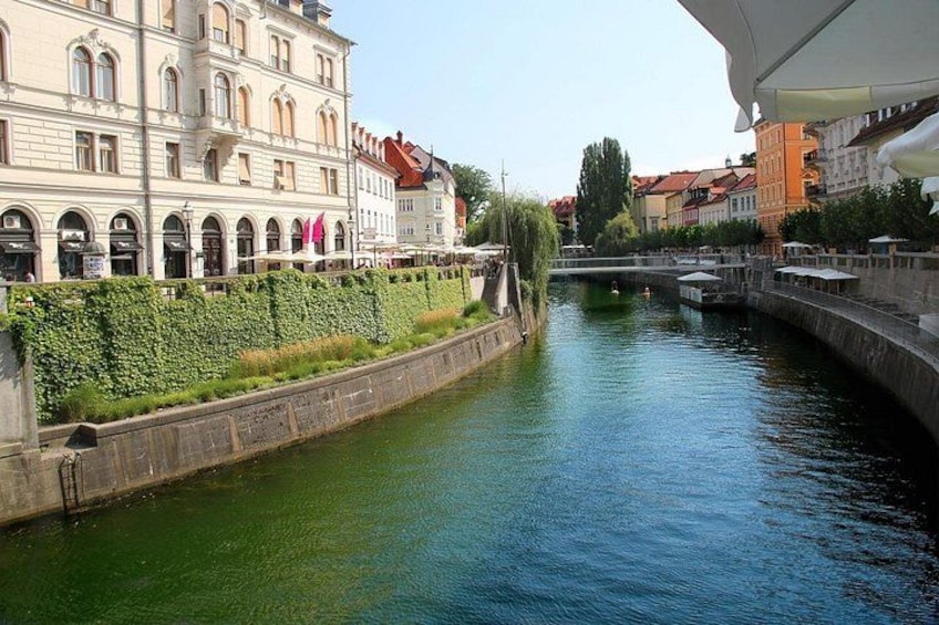 Exclusive Private Tour to Ljubljana from Trieste 5
