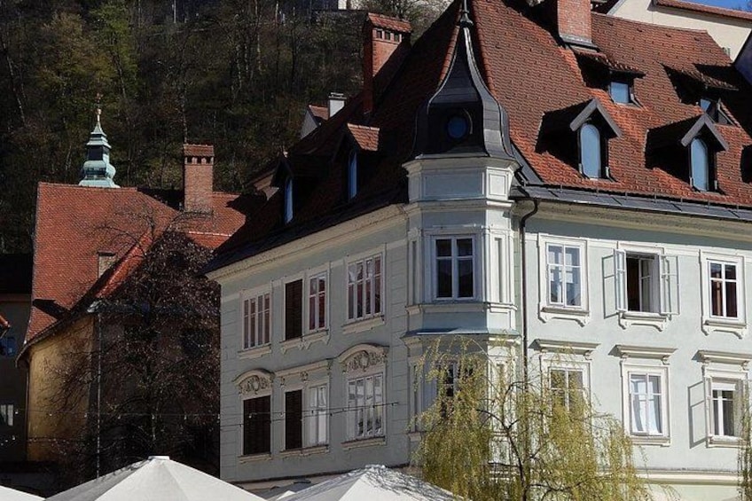 Exclusive Private Tour to Ljubljana from Trieste 4