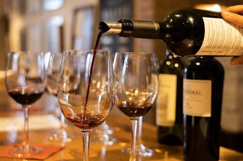 3 Wineries Mendoza Wine Tour with Gourmet 5 Course Lunch 1