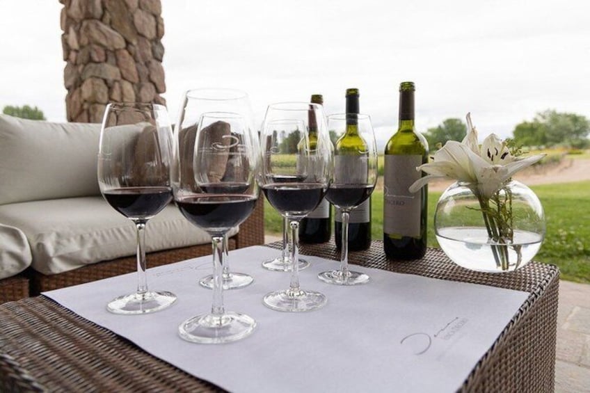 3 Wineries Mendoza Wine Tour with Gourmet 5 Course Lunch 4