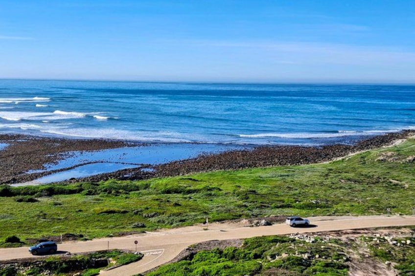 The Edge of Africa Cape Agulhas Expedition 3