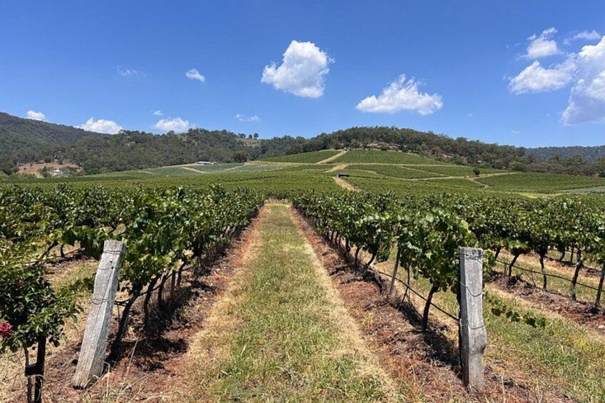 Hunter Valley Wine tasting Private Tour From Sydney 3