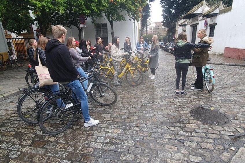 Guided Electric Bicycle Tour of Seville 2