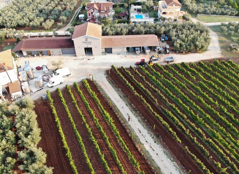 Picture 9 for Activity Pervino Wine Experience: Discover the Taste of Istria 2