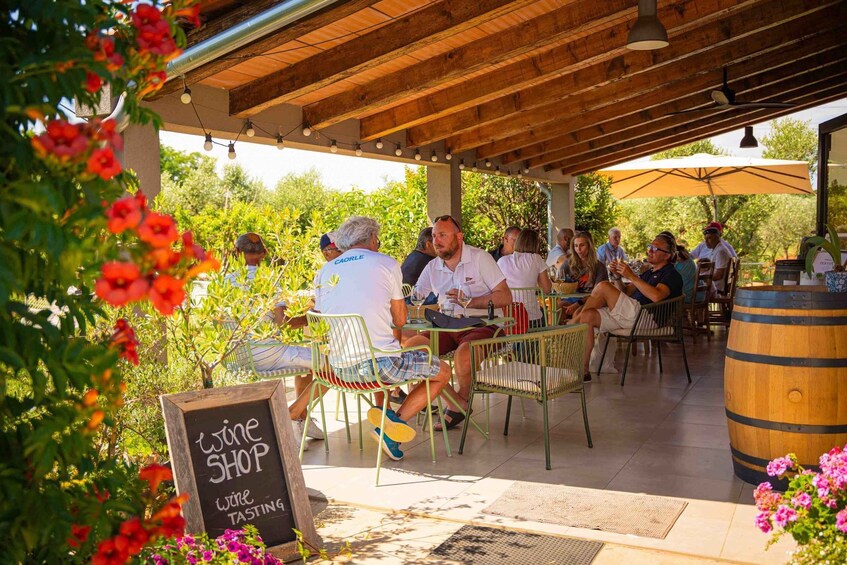 Picture 12 for Activity Pervino Wine Experience: Discover the Taste of Istria 3