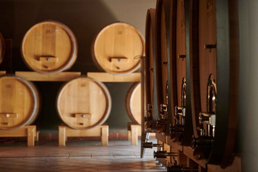 Picture 10 for Activity Pervino Wine Experience: Discover the Taste of Istria 4