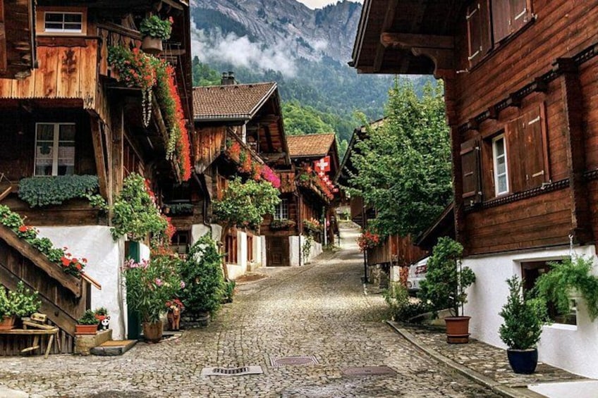 Una calle adoquinada flanqueada por casas de madera, plantas en macetas y una montaña al fondo. 3