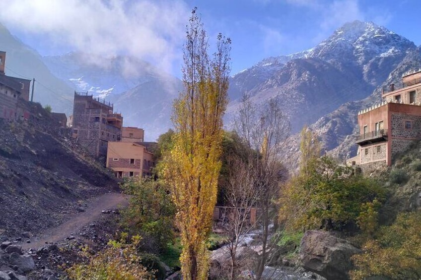 A mountainous landscape with buildings, a tree, and a rocky path. 1