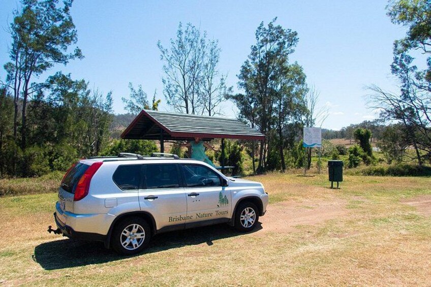 Mount Glorious to Mount Mee Tour 4