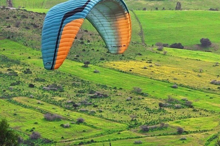 En paraglider i luften over et bakket landskab med grønne marker og spredte træer. 3