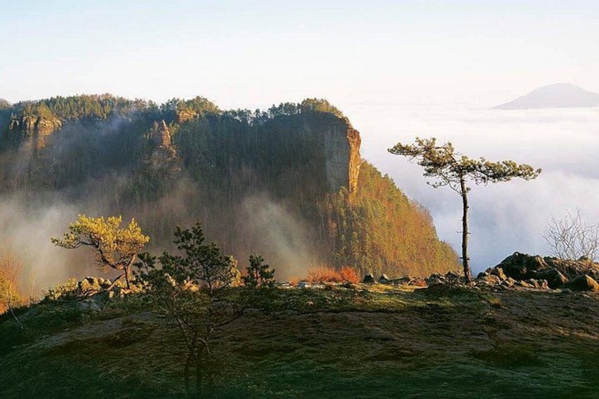 A mountainous landscape with a prominent cliff, a lone tree, and a misty background. 2