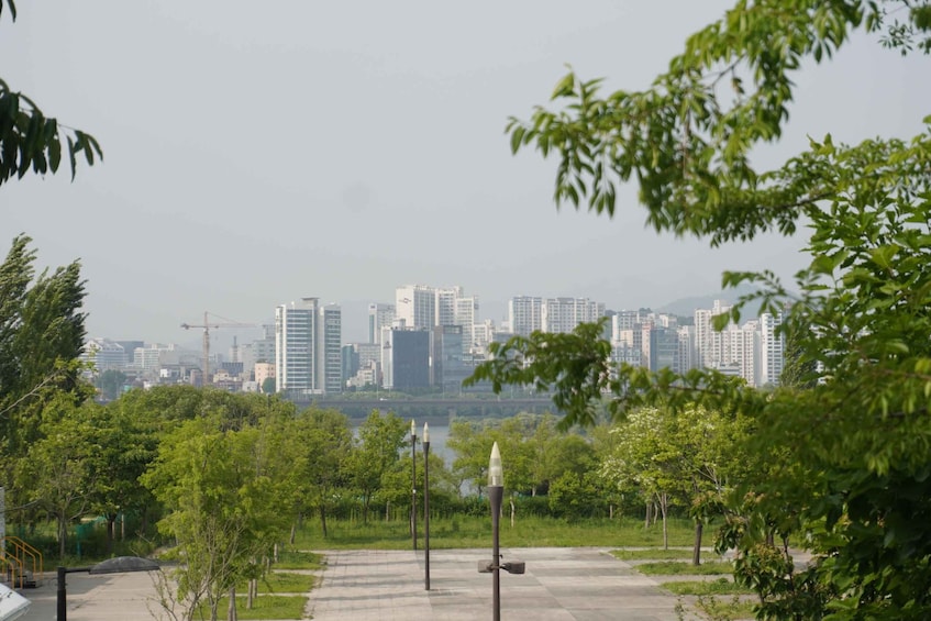 A park with trees and a city skyline in the background. 1