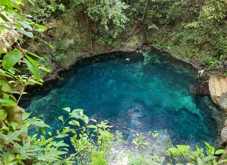 A natural pool surrounded by lush greenery. 3