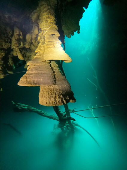 An underwater cave with stalactites and stalagmites. 2