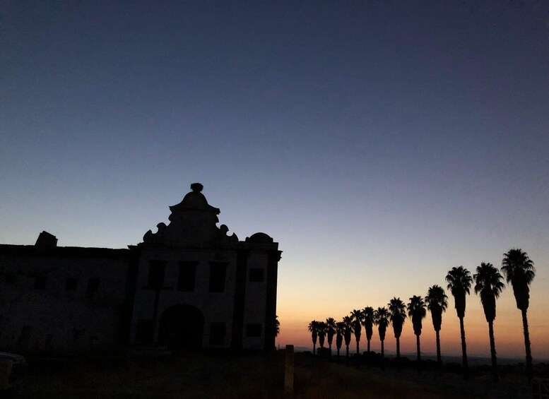 A historical building with a distinctive facade, palm trees in the foreground, and a clear sky. 1