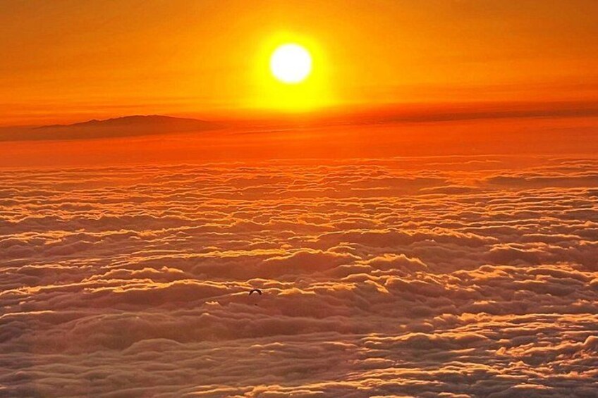 Sunset Paragliding Fly from Teide to Puerto de la Cruz 3