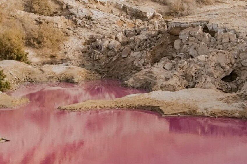 Petra Dead Sea Pink Lake and Salt Beach Private Guided Tour 2